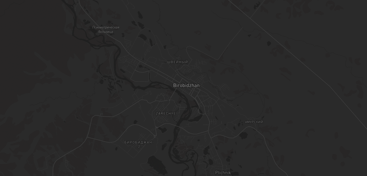 Карта в Биробиджане
