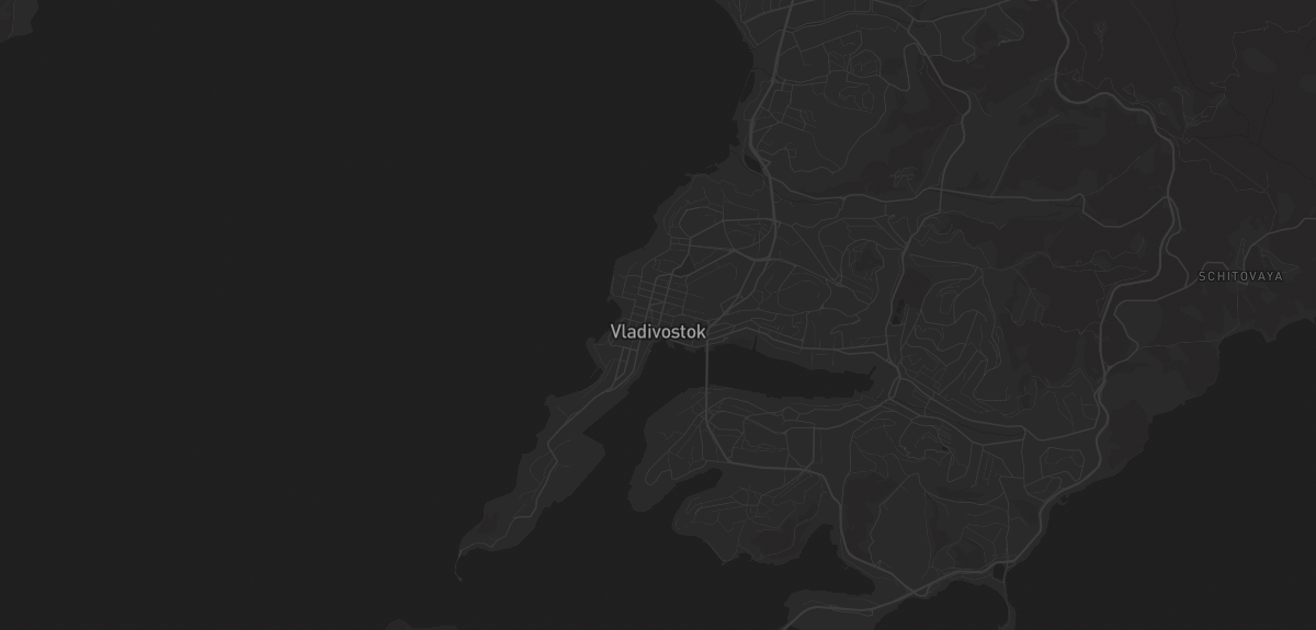 Карта во Владивостоке